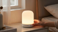 2 Best Home Night Lights in 2026